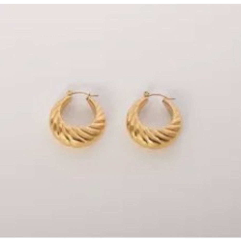 Small Croissant Hoop Earrings